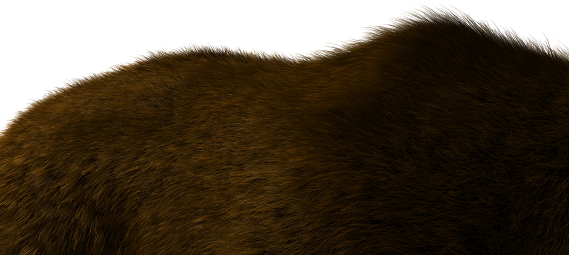 Enhanced Fur for Bear